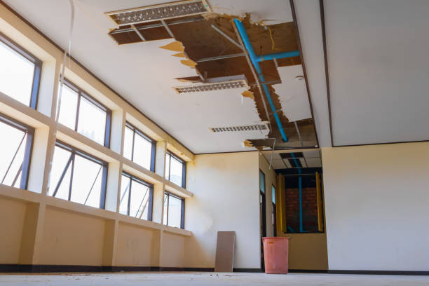  Buffalo, SC Water damage restoration Pros