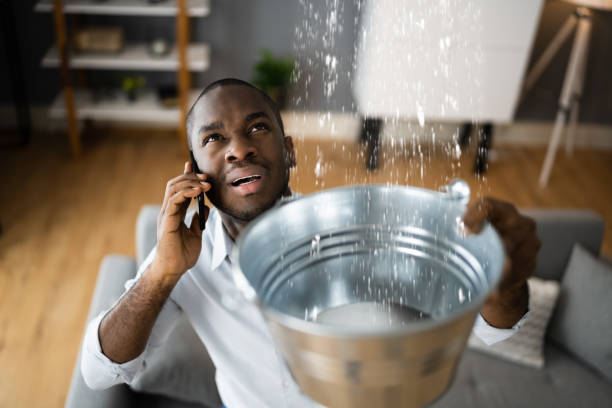 Best Ceiling water damage repair  in Buffalo, SC