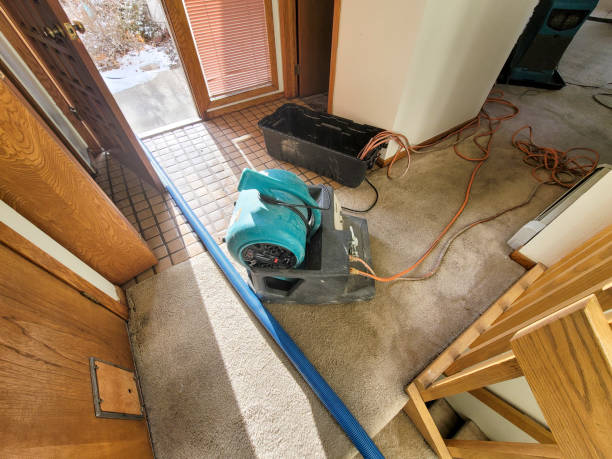 Best Sewage cleanup and water damage restoration  in Buffalo, SC