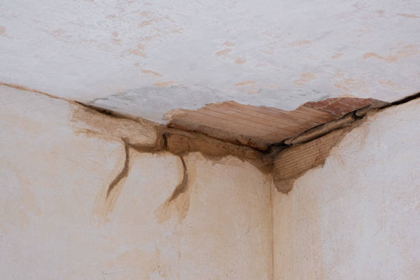 Best Water damage restoration process  in Buffalo, SC