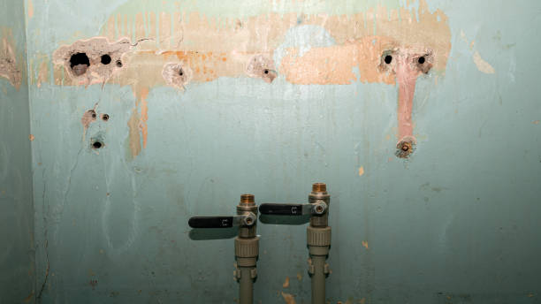 Water damage restoration experts in SC